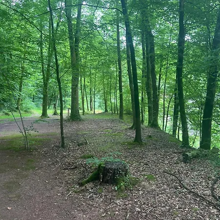Appartement Avec Sauna Jardin Clos Et Wifi A Aux Etangs La Ferriere-aux-Etangs