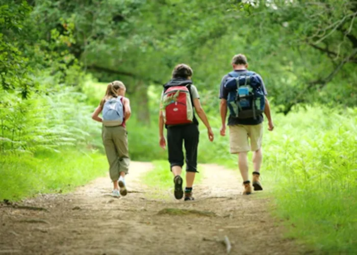 Avec Sauna Jardin Clos Et Wifi A Aux Etangs Appartement *