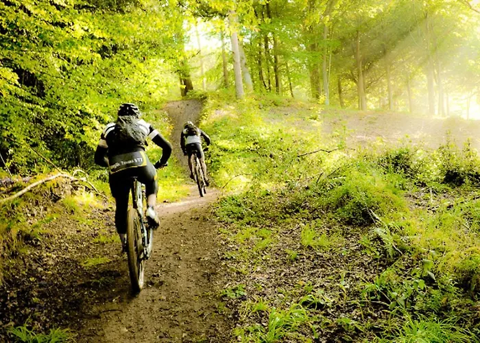 Avec Sauna Jardin Clos Et Wifi A Aux Etangs Appartement La Ferriere-aux-Etangs