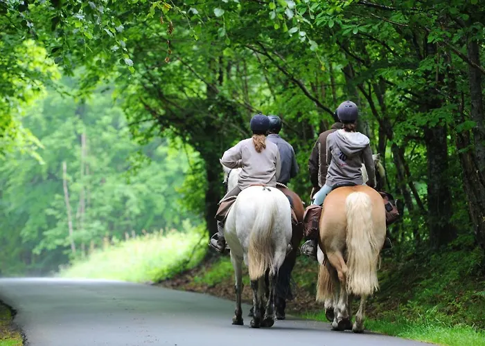 Avec Sauna Jardin Clos Et Wifi A Aux Etangs La Ferriere-aux-Etangs