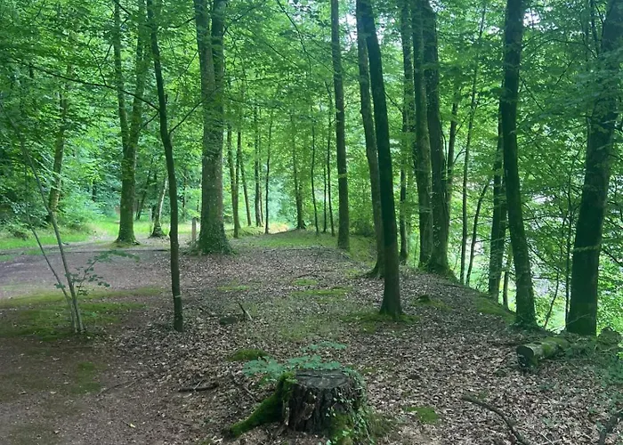 Appartement Avec Sauna Jardin Clos Et Wifi A Aux Etangs La Ferriere-aux-Etangs